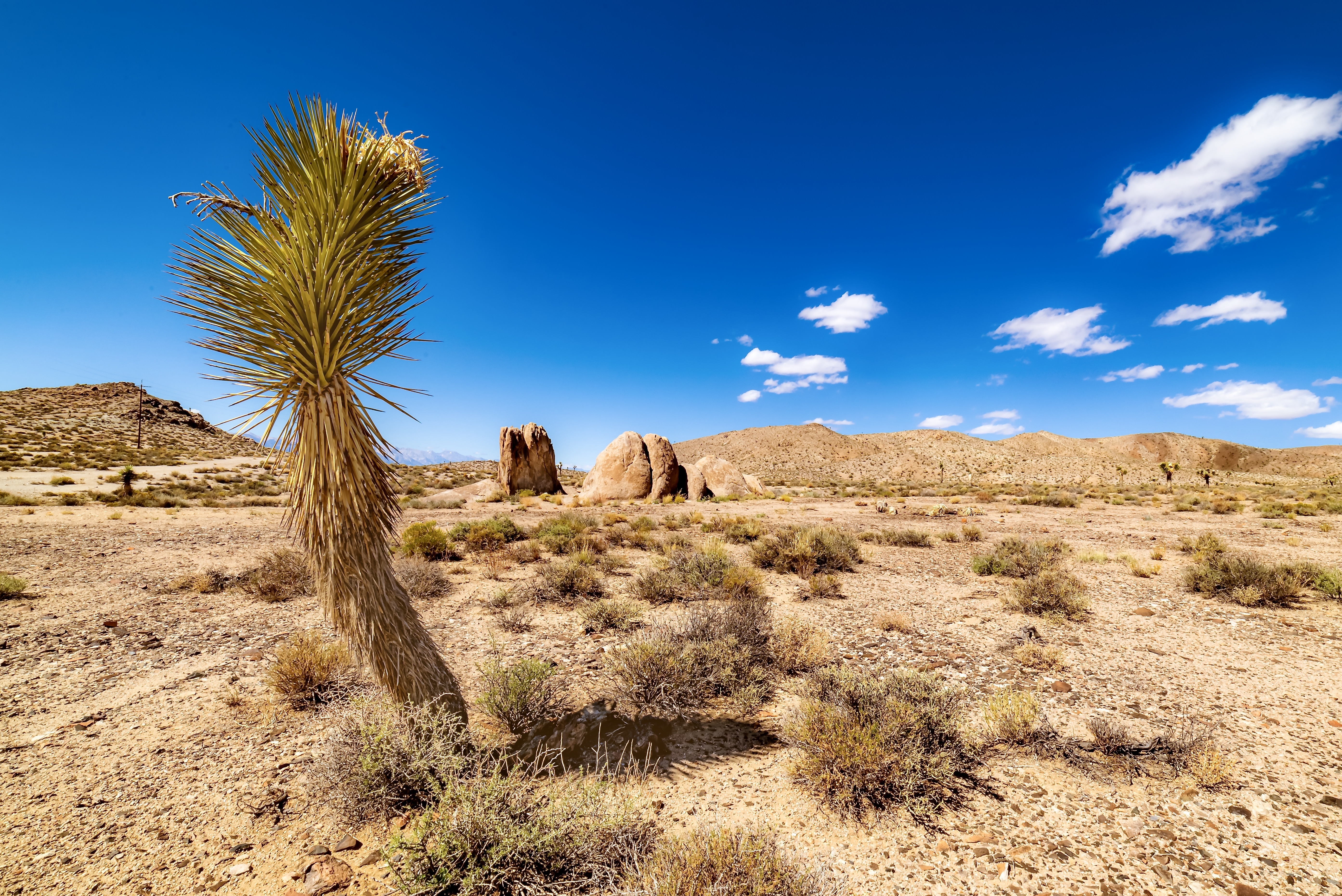 Desierto