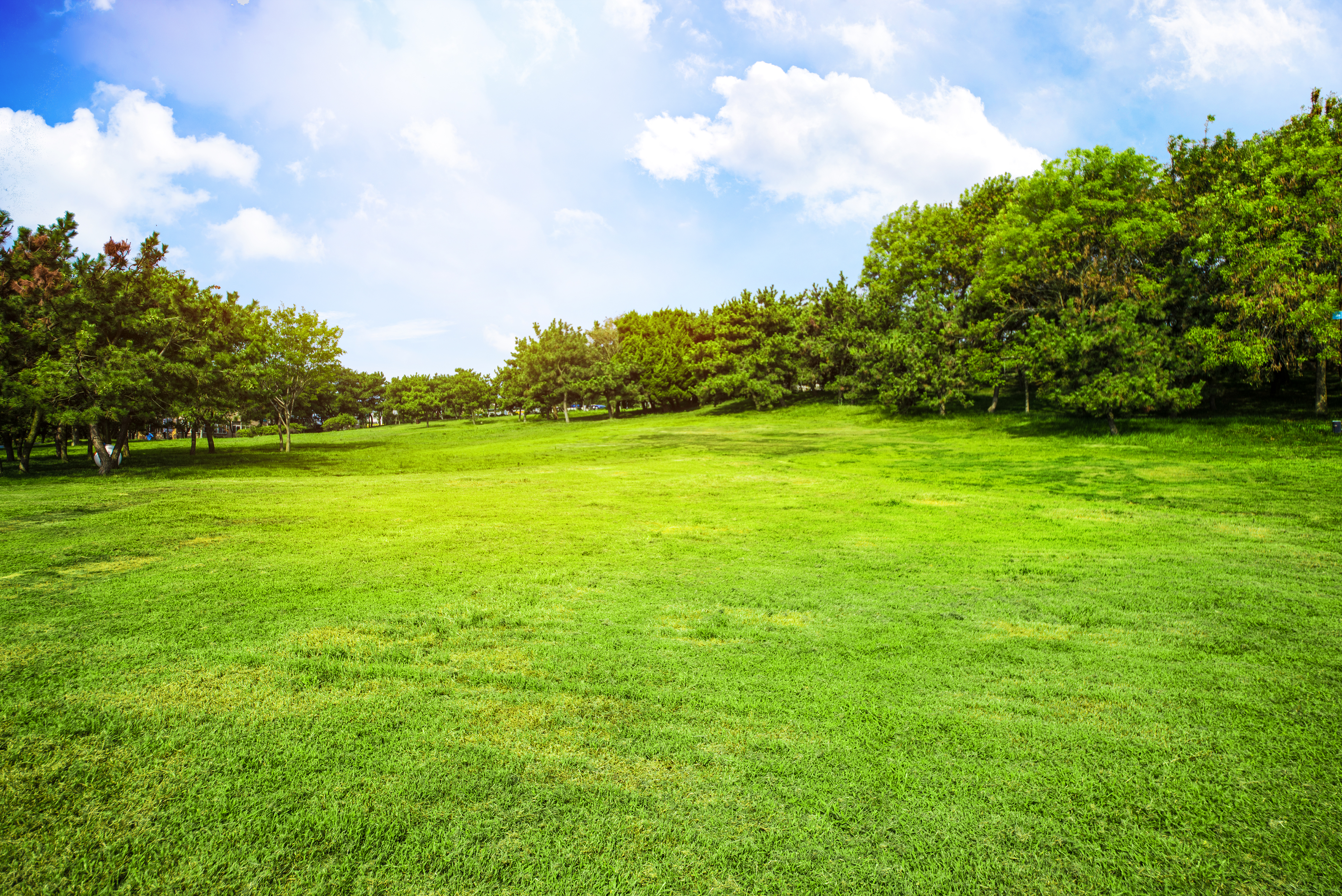 Pradera